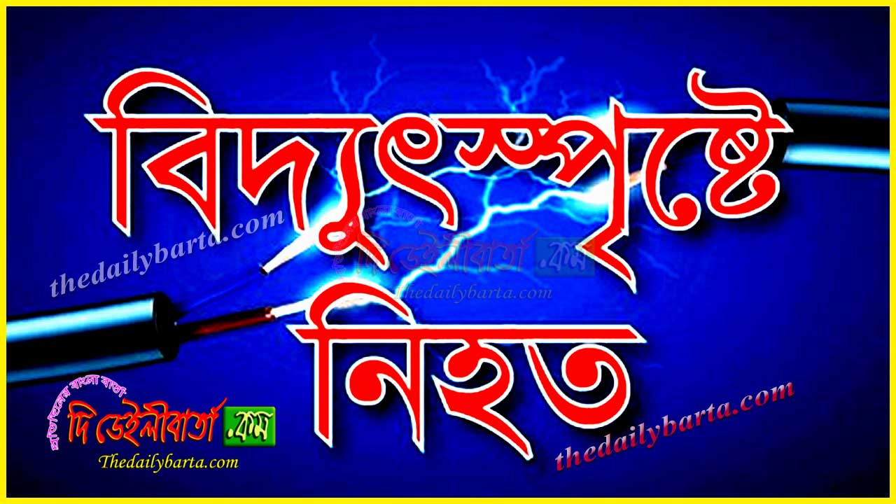 বিদ্যুৎস্পৃষ্ট হয়ে মৃত্যু