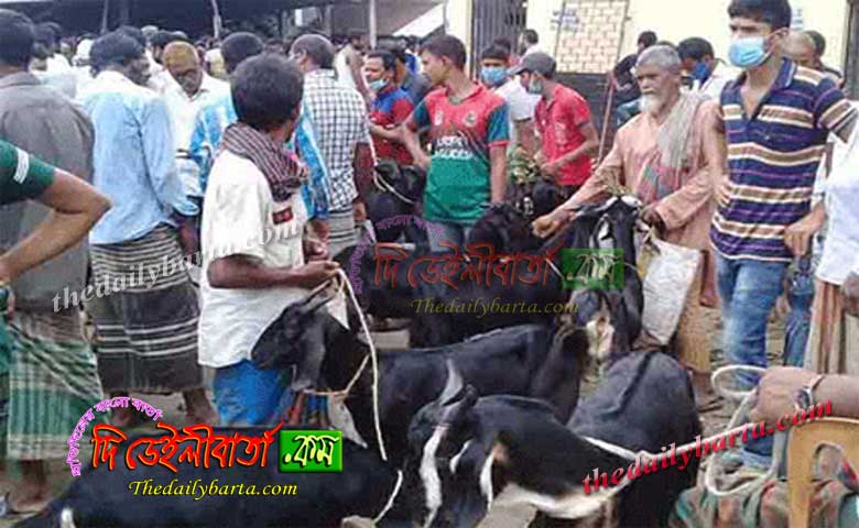 নলডাঙ্গায় কোরবানির ছাগলের হাট জমে উঠলেও ক্রেতা কম থাকায় বিক্রি বাড়েনি