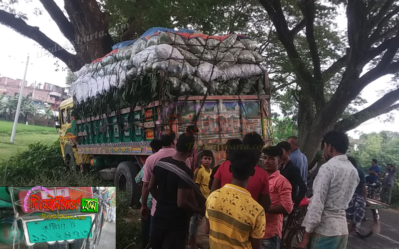 চুয়াডাঙ্গায় ট্রাকের ধাক্কায় প্রাণ গেল মায়ের